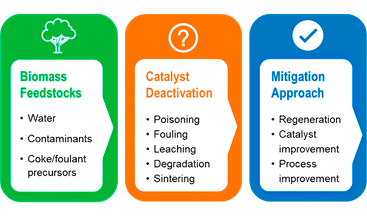 Biomass Feedstocks: water, contaminants, coke/foulant precursors. Catalyst Deactivation: Poisoning, Fouling, Leaching, Degradation, Sintering. Mitigation Approach: Regeneration, Catalyst improvement, Process improvement. 