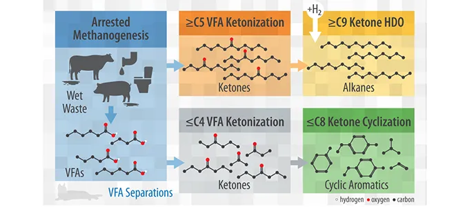 Arrested methanogenesis of non-FOG wet waste leads to VFAs, which are separated into C5 or greater ketones (ketonized and hydrodeoxygenated to make alkanes) and C4 or fewer ketones (ketonized and cyclinized to make cyclic aromatics).