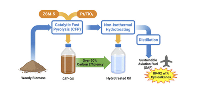 A flow diagram showing the conversion of woody biomass to sustainable aviation fuel. Steps include catalytic fast pyrolysis (CFP) and non-isothermal hydrotreating, yielding 89-92 wt% cycloalkanes.