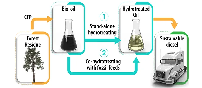 CFP of forest residue creates bio-oil, which can be processed via stand-alone hydrotreating or co-hydrotreating with fossil feeds to make hydrotreated oil—a precursor for sustainable diesel.